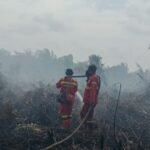 Pemerintah Siagakan Langkah Antisipatif Cegah Dampak El Nino