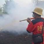 Hadapi El Nino, Pemerintah Tunjukkan Kesiapan Melindungi Hutan dan Masyarakat