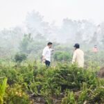 Dari Peringatan Dini hingga Koordinasi Lapangan, Pemerintah Siaga Hadapi El Nino