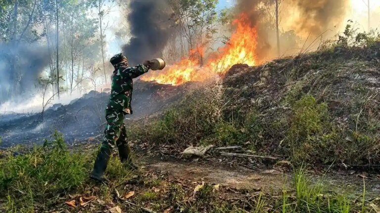 Satu Komando Penanganan Karhutla Sumatra-Kalimantan, Pemerintah Serius Lindungi Rakyat