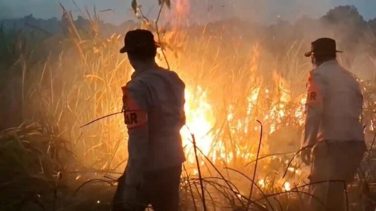 Presiden Prabowo Instruksikan Penanganan Karhutla Terpadu dari Kalimantan hingga Sumatera