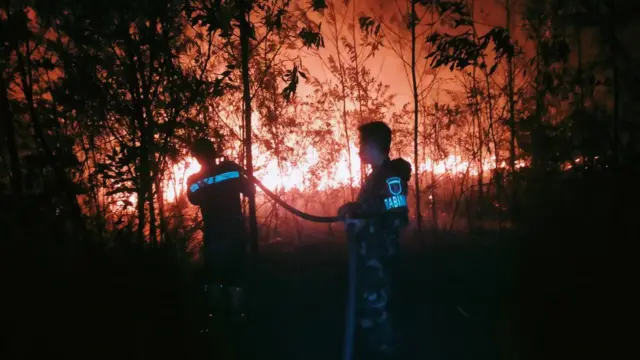 Safe House dan Shelter Karhutla Menjadi Pelindung bagi Warga yang Rentan