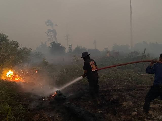 Anggaran Karhutla, Instrumen Cepat Menyelamatkan Rakyat