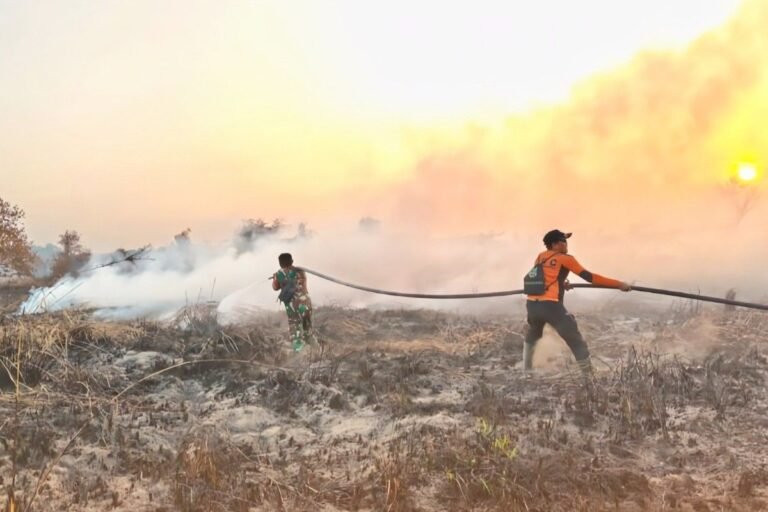 Presiden Minta Kapolri Agar Segera Mengusut Pelaku Karhutla