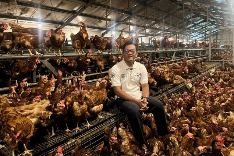 Kawasan Peternakan Terintegrasi Menjadi Fondasi Baru Kemandirian Pangan Nasional