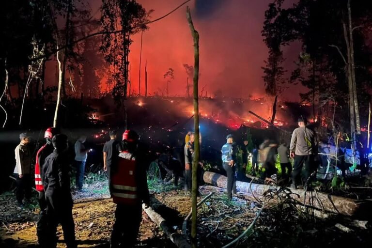 Pemerintah Perkuat Penanganan Darurat Karhutla untuk Cegah Kabut Asap Lintas Batas