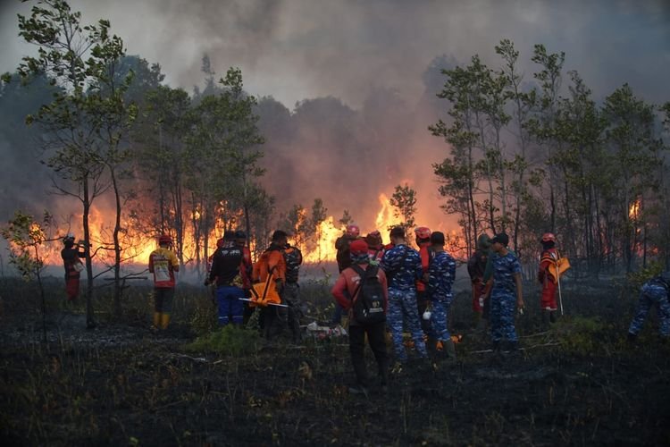 Penegakan Hukum Karhutla Tegas, Pembakar Lahan Tidak Lagi Berlindung