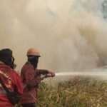 Banpres Karhutla: Perhatian Pemerintah Sampai ke Daerah Terdampak