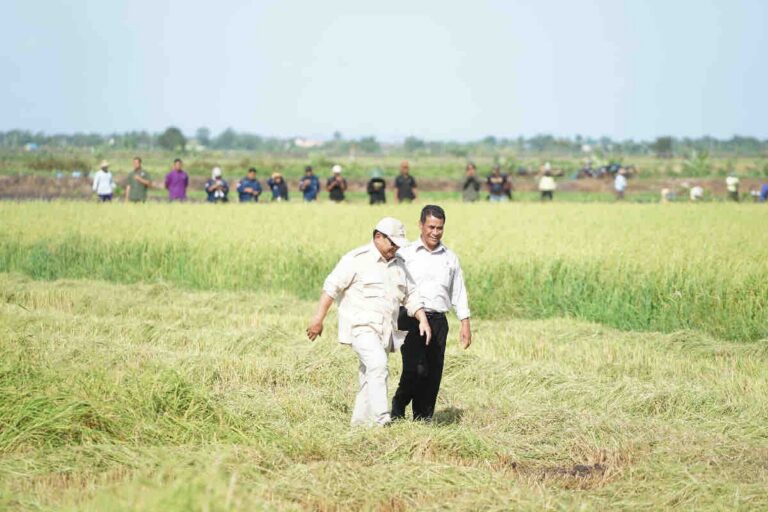 Lindungi Petani dari Gagal Panen, Pemerintah Siapkan AUTP 100 Ribu Hektare