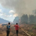 Pemerintah Cabut Izin Perusahaan yang Abaikan Kewajiban Cegah Karhutla