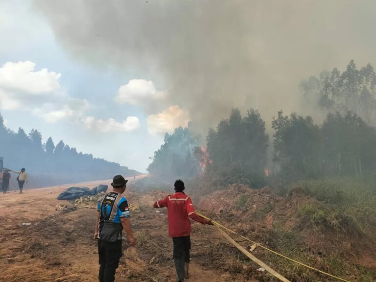 Pemerintah Cabut Izin Perusahaan yang Abaikan Kewajiban Cegah Karhutla
