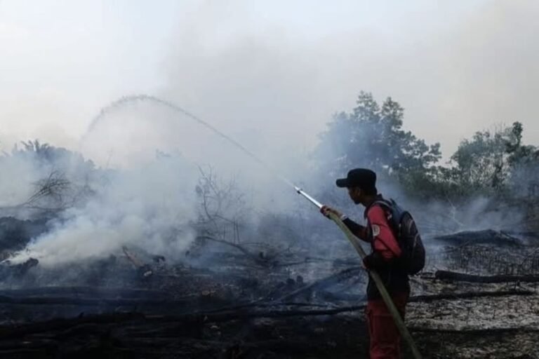 Penanganan Karhutla Diperkuat, Penegakan Hukum Dipastikan Transparan dan Tegas