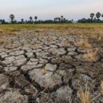 Mitigasi El Nino di Sektor Energi, Bukti Negara Hadir Antisipasi Krisis