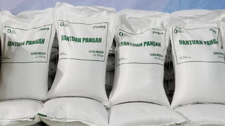 Presiden Prabowo Perpanjang Bantuan Beras hingga Desember 2026