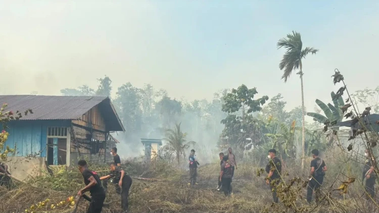 Pemerintah Bergerak Tekan Dampak Karhutla bagi Masyarakat