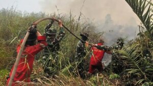 Fokus Prabowo pada Gambut Menjadi Kunci Mencegah Karhutla Berulang