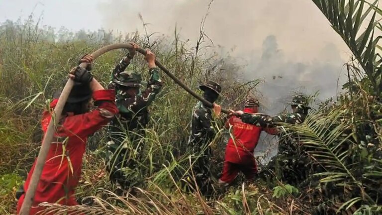 Fokus Prabowo pada Gambut Menjadi Kunci Mencegah Karhutla Berulang