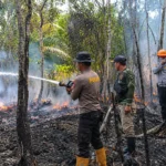 Penanganan Karhutla Melalui Komando Terpadu dari Pusat hingga Daerah
 