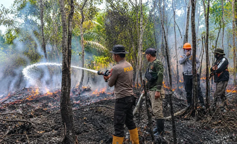 Penanganan Karhutla Melalui Komando Terpadu dari Pusat hingga Daerah
 