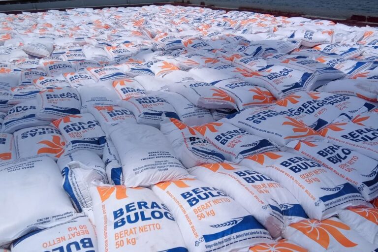 Cadangan Beras Aman, Pemerintah Siapkan Antisipasi El Nino