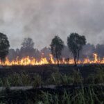 Bantuan Karhutla Diperluas untuk Lindungi Warga dari Kabut Asap