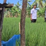 Kedaulatan Pangan: Bangsa Mampu Berdiri di Atas Produksi Sendiri