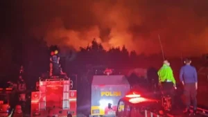 Pemerintah Tambah Bantuan Karhutla untuk 44 Daerah Terdampak