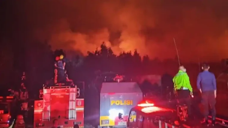 Pemerintah Tambah Bantuan Karhutla untuk 44 Daerah Terdampak