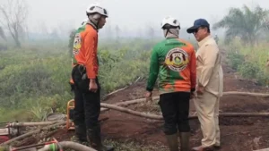Bantuan Karhutla Diperluas untuk Lindungi Warga dari Kabut Asap