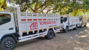 Koperasi Merah Putih Membuka Jalan Pemerataan Barang Subsidi hingga Desa
