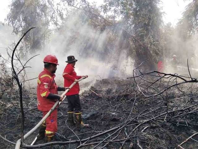 Pemerintah Perluas Operasi Karhutla hingga ke Luar Provinsi Prioritas