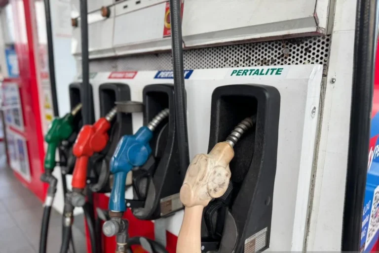 Diversifikasi Pasokan BBM Memperkuat Ketahanan Energi Nasional
