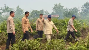Presiden Prabowo: Listrik Lebih Tanggap, Stabil, Kuat dan Andal