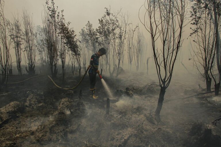 Pengawasan Masuk sampai ke Lahan, Karhutla Berhenti Jadi Kejadian Musiman —