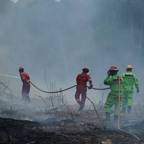 Kerja Pemerintah dan Satgas Terus Diperkuat untuk Karhutla