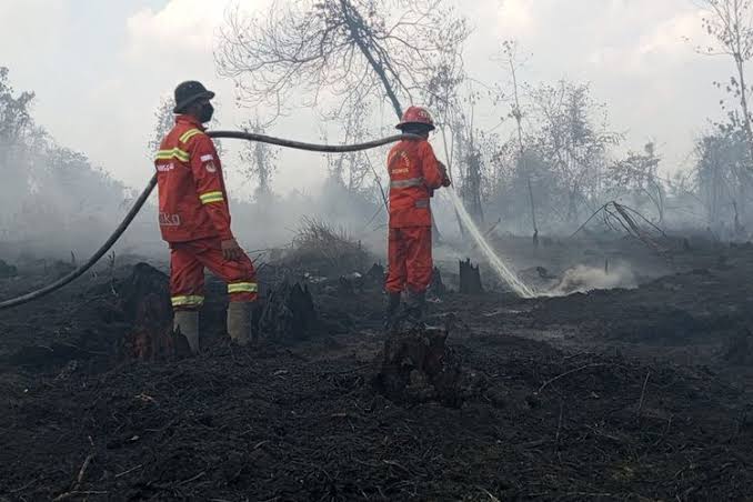 Ratusan Hektare Karhutla Berhasil Dipadamkan, Penanganan Terus Berlanjut